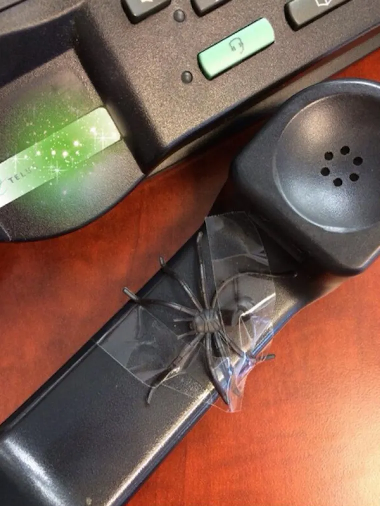 STRAVA I UŽAS: Kukavice ili ne, ovakva strašenja rijetko tko može podnijeti