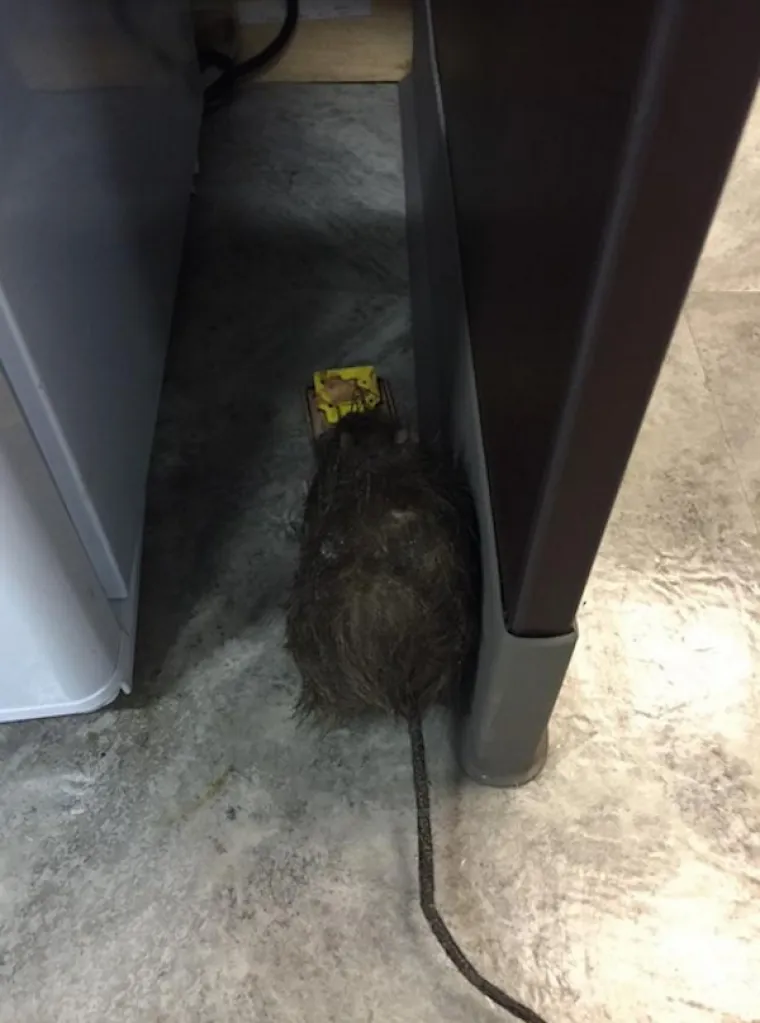 STRAVA I UŽAS: Kukavice ili ne, ovakva strašenja rijetko tko može podnijeti