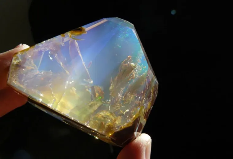 Opal 'Ocean'