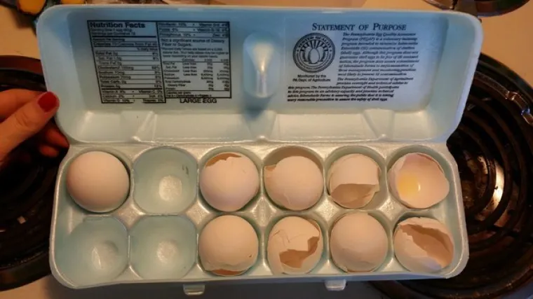 Ljudi koji ljuske vraćaju u karton s jajima.