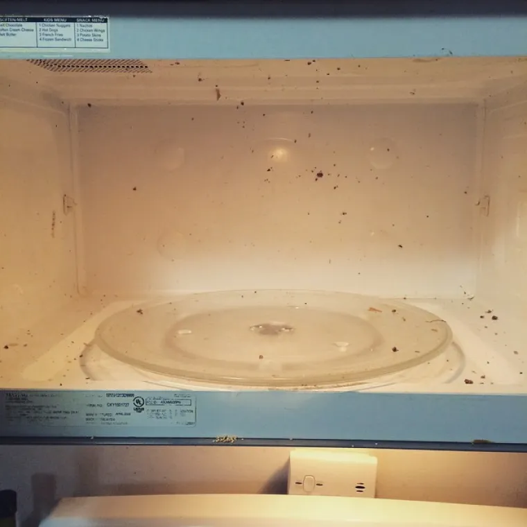 Mikrovalka zaprskana komadićima hrane.