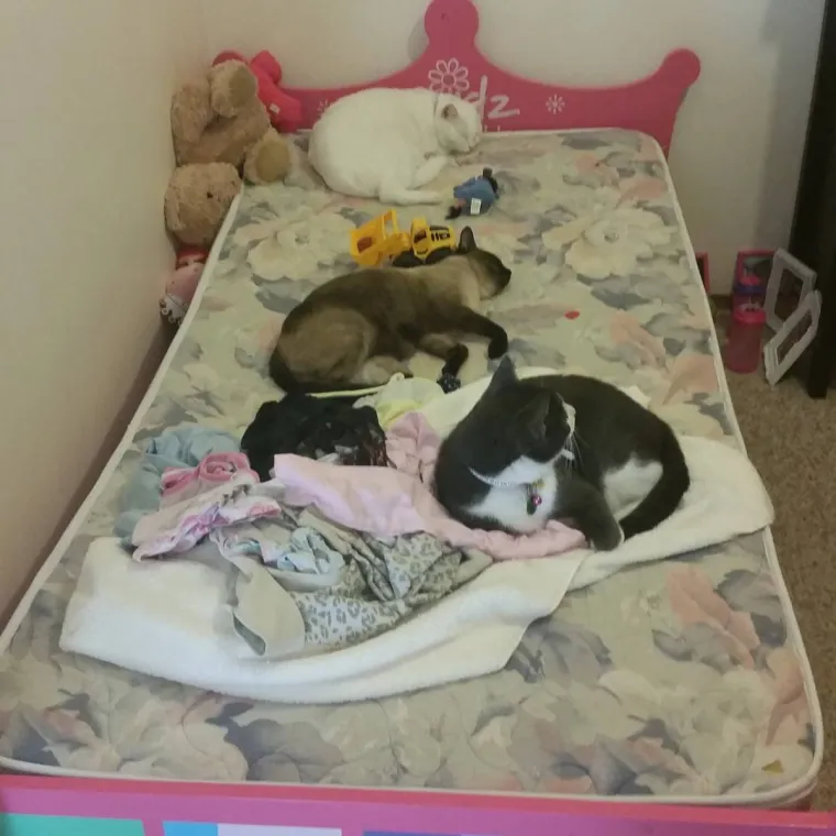 Ljudi koji spavaju na krevetu bez plahte.