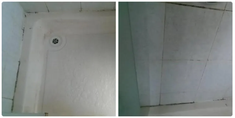 Tu&scaron;evi prekriveni plijesni.