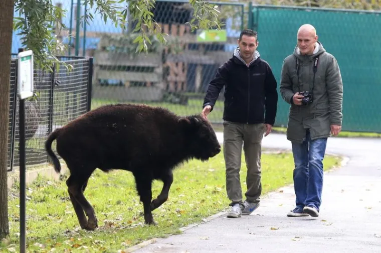 ŽIVOTINJE DOBILE POKLONE: Osječki Zoolo&scaron;ki vrt proslavio 60. rođendan