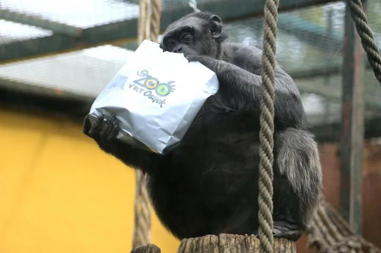 Tim povodom životinjama su dali poklone