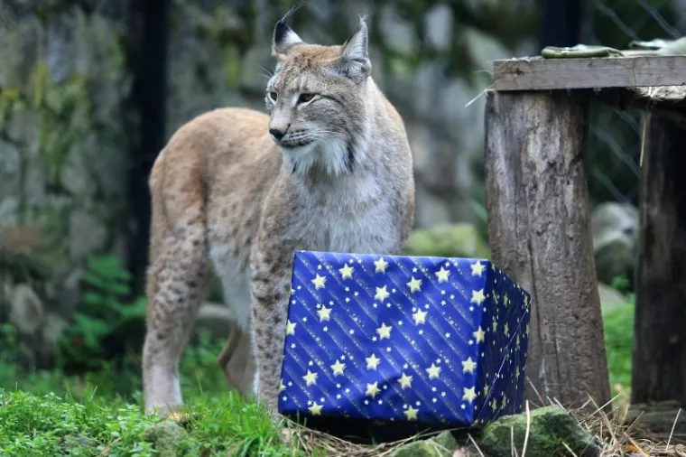 Osječki Zoolo&scaron;ki vrt proslavio je 60. rođendan.