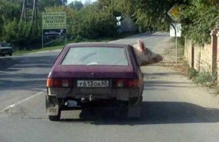 KOJA JE NJIHOVA DIJAGNOZA? Možda su samo Rusi, a možda je nešto drugo posrijedi