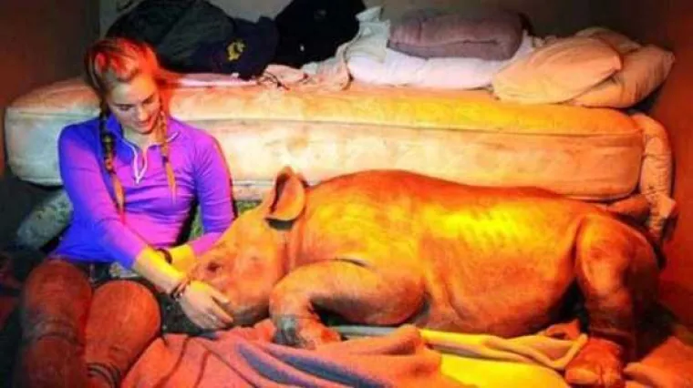 KOJA JE NJIHOVA DIJAGNOZA? Možda su samo Rusi, a možda je ne&scaron;to drugo posrijedi