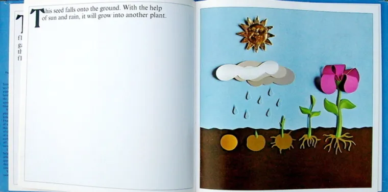 Sve počinje klasničnim uvodom o procesu oplodnje.