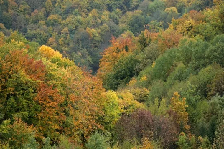 Ne znate kamo za vikend? Najavljeno lijepo vrijeme savršena je prilika za izlet u prirodu. Ako vam Žumberak nije blizu, sigurno možete barem negdje udahnuti malo svježeg zraka, pa makar u parku.