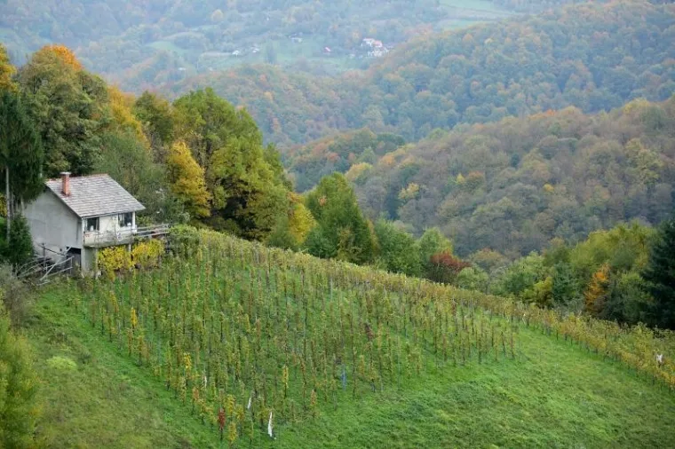 Ne znate kamo za vikend? Najavljeno lijepo vrijeme savršena je prilika za izlet u prirodu. Ako vam Žumberak nije blizu, sigurno možete barem negdje udahnuti malo svježeg zraka, pa makar u parku.