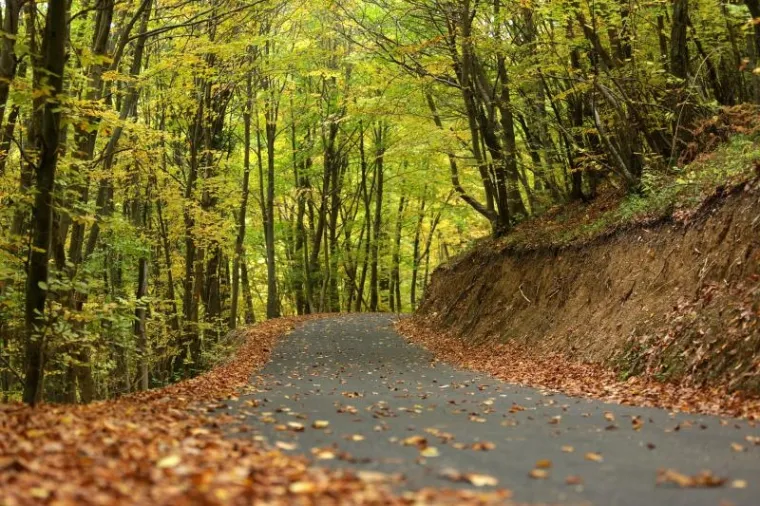 Ne znate kamo za vikend? Najavljeno lijepo vrijeme savršena je prilika za izlet u prirodu. Ako vam Žumberak nije blizu, sigurno možete barem negdje udahnuti malo svježeg zraka, pa makar u parku.