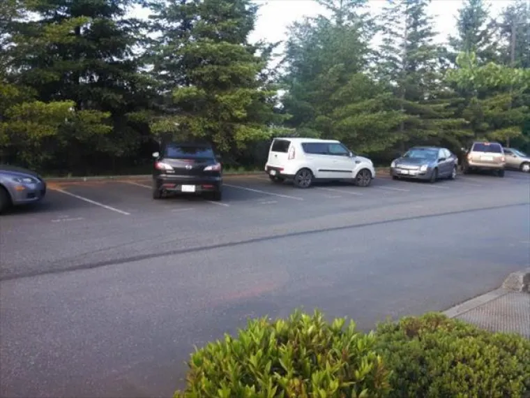 Život ih je potpuno dotukao, jasno se vidi da su odustali od svega