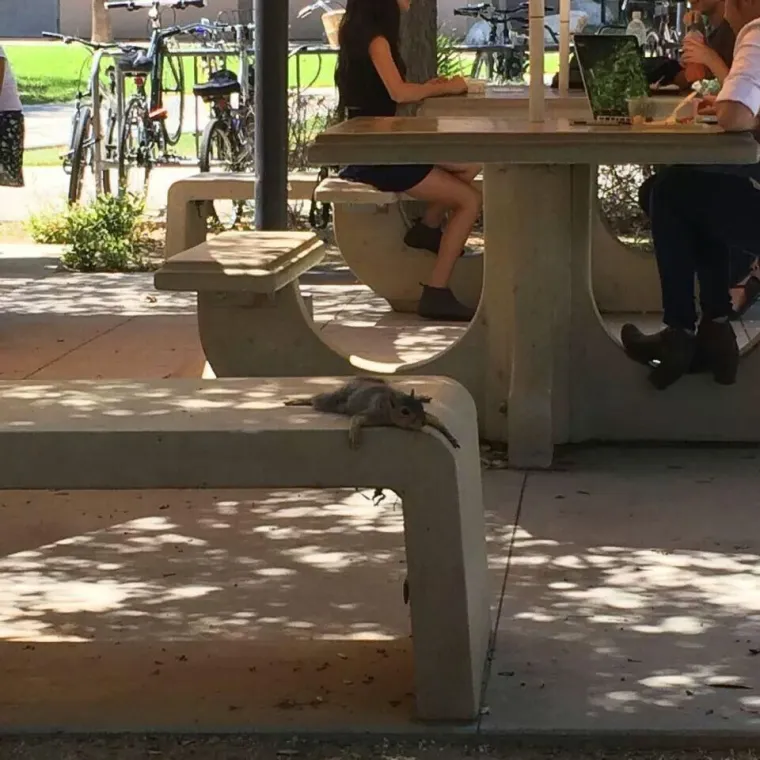 Život ih je potpuno dotukao, jasno se vidi da su odustali od svega