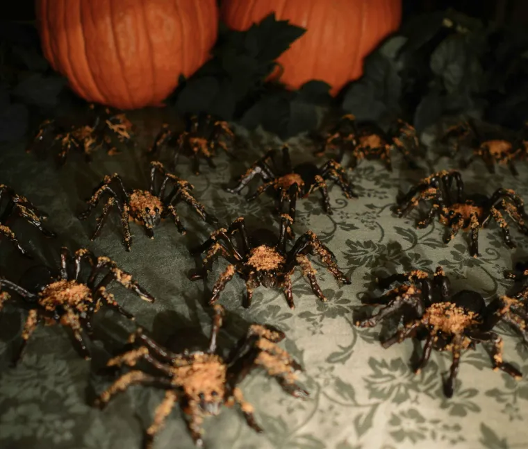 Ova žena je naprosto luda za Noći vještica, pogledajte kako se pripremila