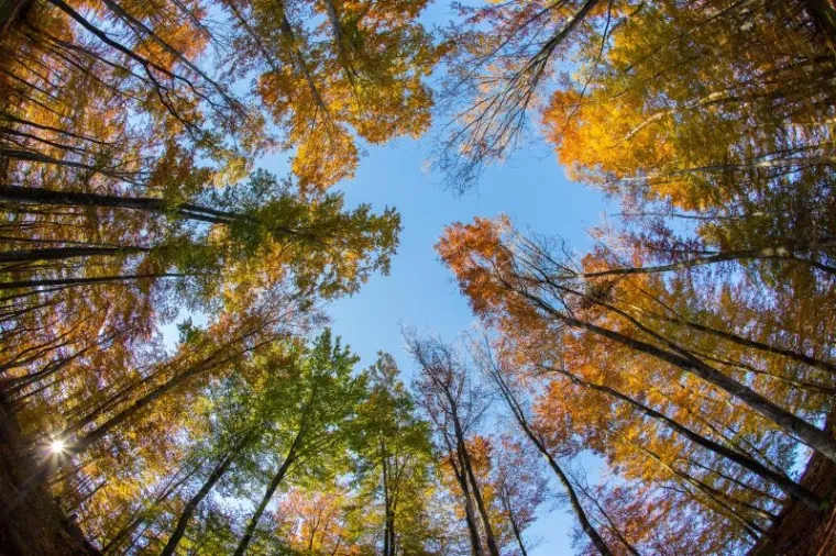 Fotograf agencije Pixsell snimio je doista prekrasne fotografije u Parku prirode Učka.