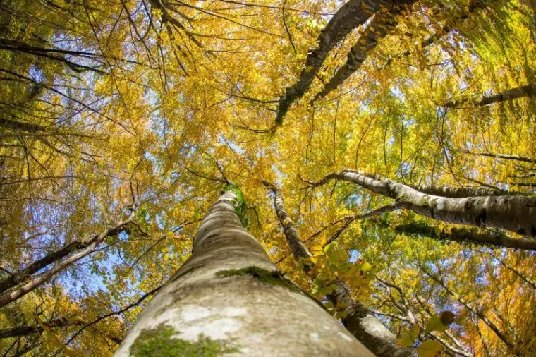 Fotograf agencije Pixsell snimio je doista prekrasne fotografije u Parku prirode Učka.