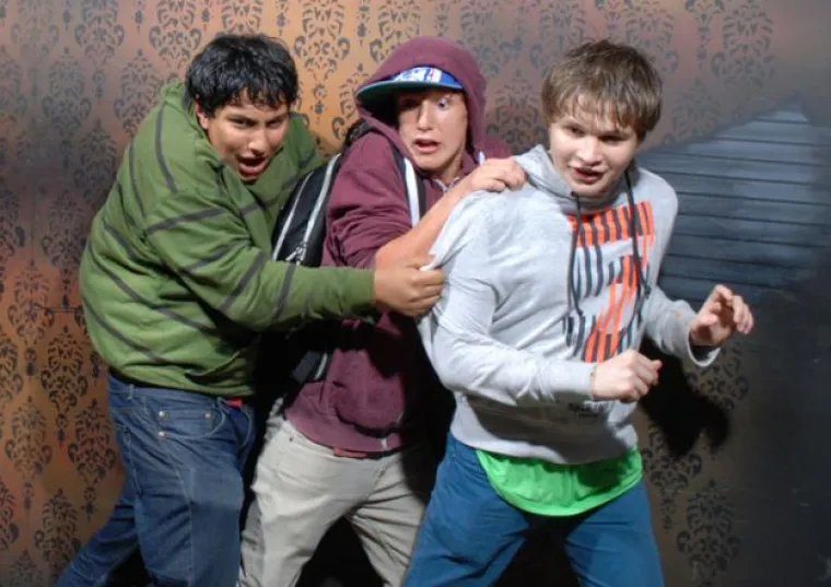 LICA ISKONSKOG STRAHA: Kad se kukavice odluče pro&scaron;etati kućom strave