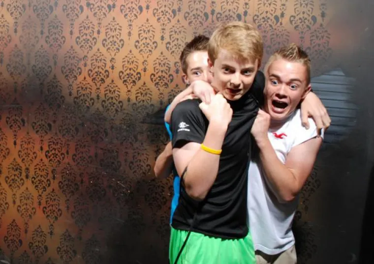 LICA ISKONSKOG STRAHA: Kad se kukavice odluče pro&scaron;etati kućom strave