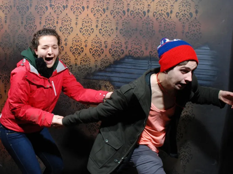 LICA ISKONSKOG STRAHA: Kad se kukavice odluče pro&scaron;etati kućom strave