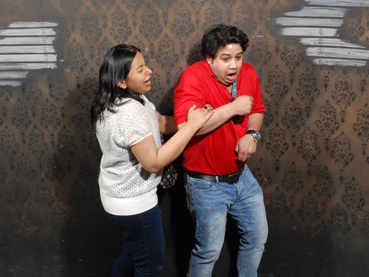 LICA ISKONSKOG STRAHA: Kad se kukavice odluče pro&scaron;etati kućom strave