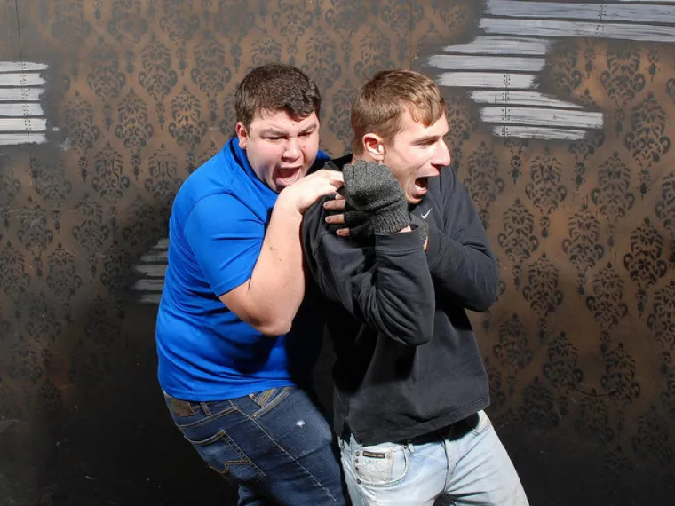 LICA ISKONSKOG STRAHA: Kad se kukavice odluče pro&scaron;etati kućom strave