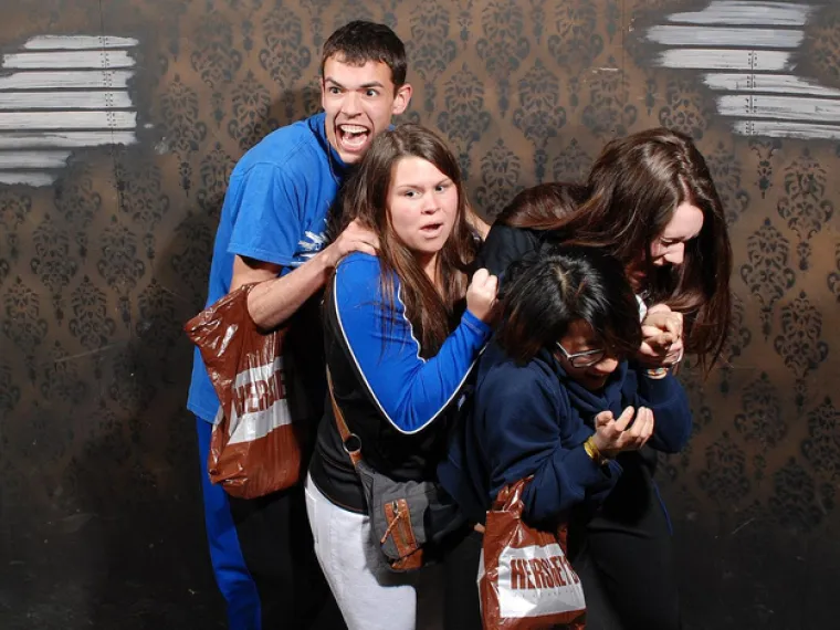 LICA ISKONSKOG STRAHA: Kad se kukavice odluče pro&scaron;etati kućom strave