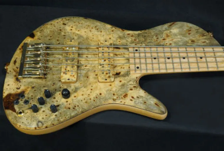 Imate li tripofobiju? Uspijete li pogledati galeriju do kraja, sigurno nemate