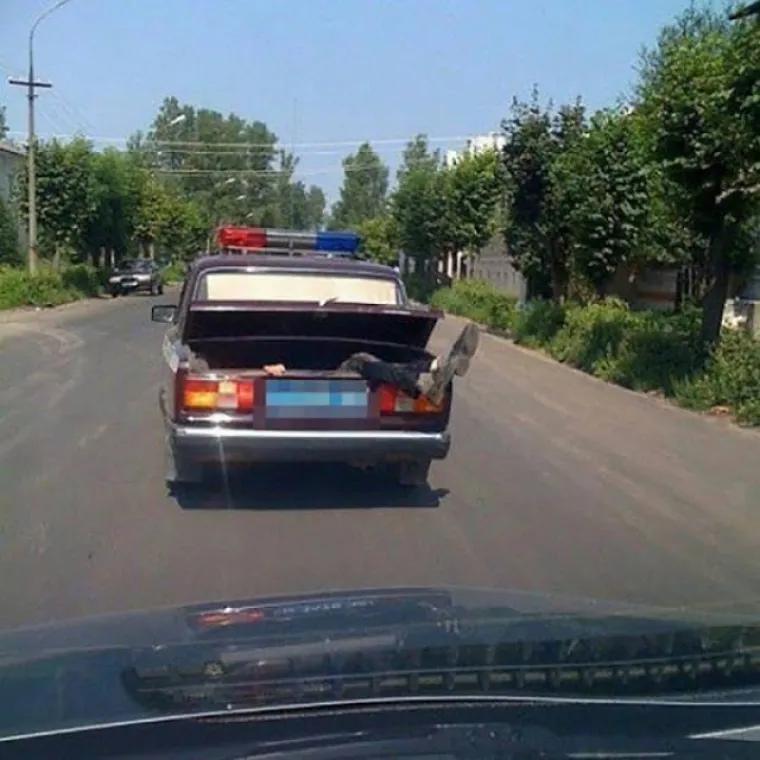 Razglednice iz Rusije zapravo bi trebale izgledati poput fotografija iz galerije