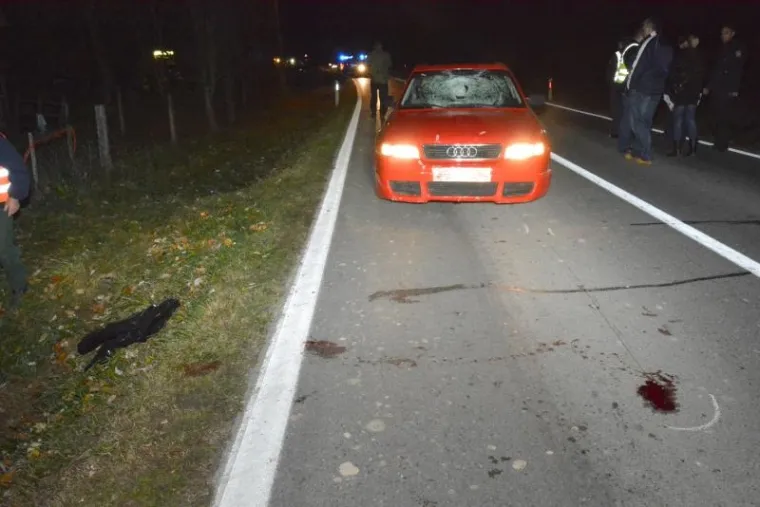Na cesti Mala Pisanica Bjelovar u večernjim je satima u subotu poginuo biciklist.Na njega je naletio vozač Audija. Biciklist je od siline udarca bio odbačen s ceste, te je poginuo na mjestu nesreće.