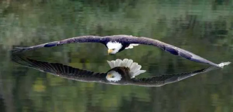 Dokaz da ba&scaron; svatko s mobitelom može snimiti super fotku, čak i posve slučajno