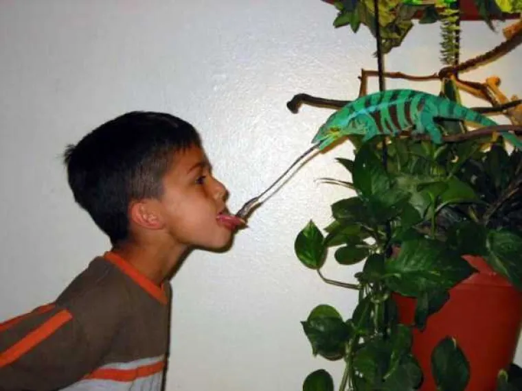 Dokaz da ba&scaron; svatko s mobitelom može snimiti super fotku, čak i posve slučajno