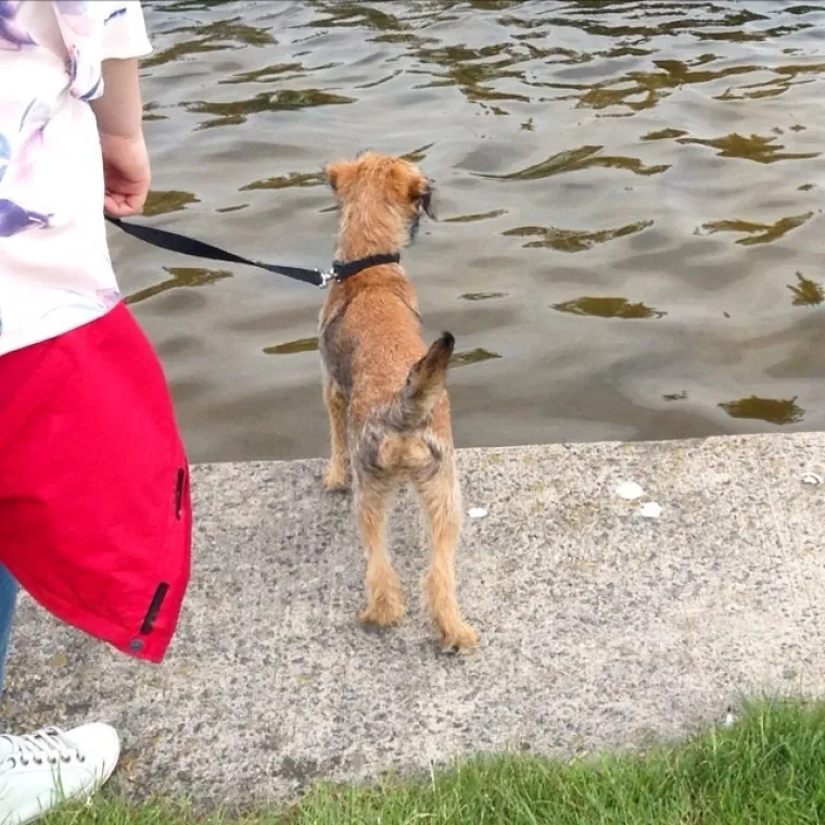 JESTE LI PERVERZNJAK? Ovisi o tome &scaron;to sve vidite na fotografijama...