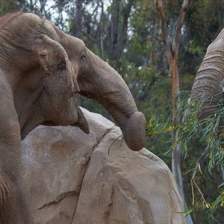 JESTE LI PERVERZNJAK? Ovisi o tome &scaron;to sve vidite na fotografijama...