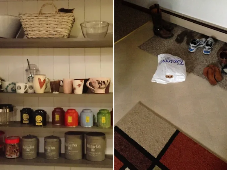 TEST ZA OČI: Samo 10 posto ljudi može pronaći mačke na ba&scaron; svim slikama