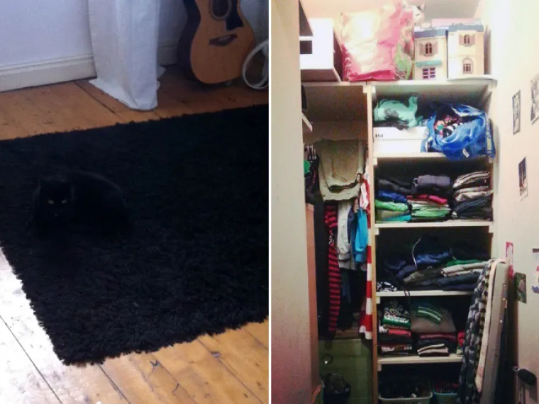 TEST ZA OČI: Samo 10 posto ljudi može pronaći mačke na ba&scaron; svim slikama