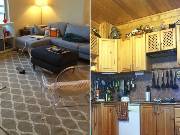 TEST ZA OČI: Samo 10 posto ljudi može pronaći mačke na ba&scaron; svim slikama