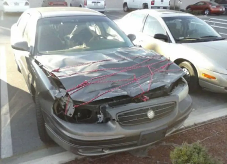 KAKO PREPOZNATI LIJENČINE? Njihov talent te&scaron;ko je previdjeti, samo zavirite u galeriju