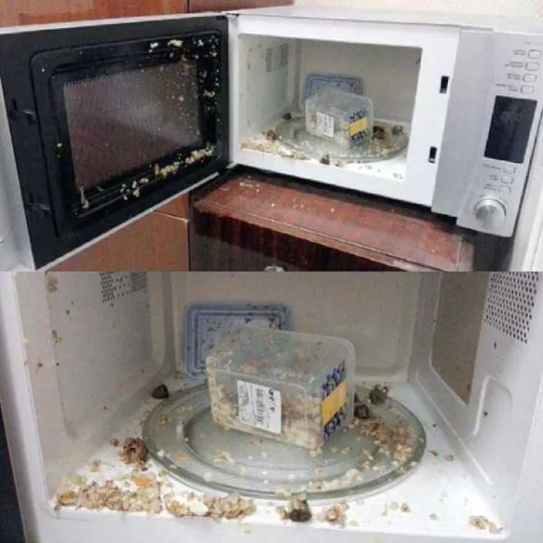 KAD VAS NEĆE I NEĆE: Poderane najlonke možda su znak da trebate ostati doma