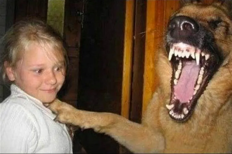 Počnite dan nasmijani uz ludosti koje vam mogu jedino popraviti raspoloženje