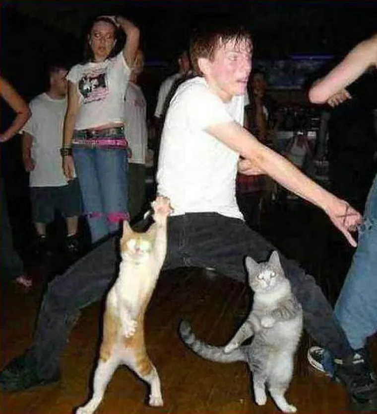 Počnite dan nasmijani uz ludosti koje vam mogu jedino popraviti raspoloženje