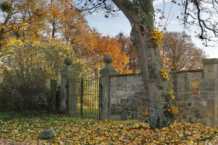 Njemački umjetnik J&ouml;rg D&uuml;sterwald pozabavio se ljudskim tijelom u prirodi. Svoje je modele body paintingom poku&scaron;ao maskirati u okolinu, a u galeriji provjerite koliko mu to dobro polazi za rukom.