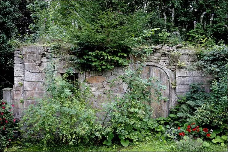 Poku&scaron;ao sakriti gole žene u &scaron;umi, možete li ih uočiti?