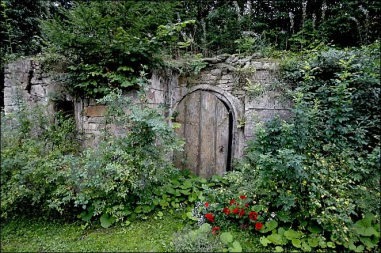 Poku&scaron;ao sakriti gole žene u &scaron;umi, možete li ih uočiti?