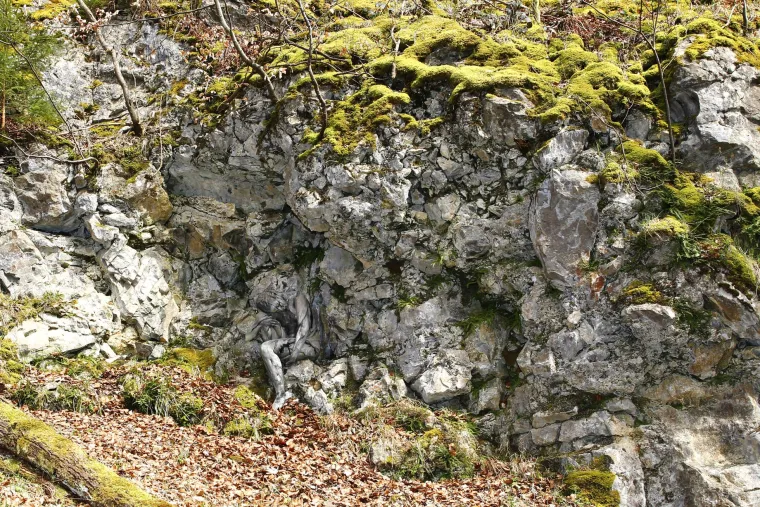 Poku&scaron;ao sakriti gole žene u &scaron;umi, možete li ih uočiti?