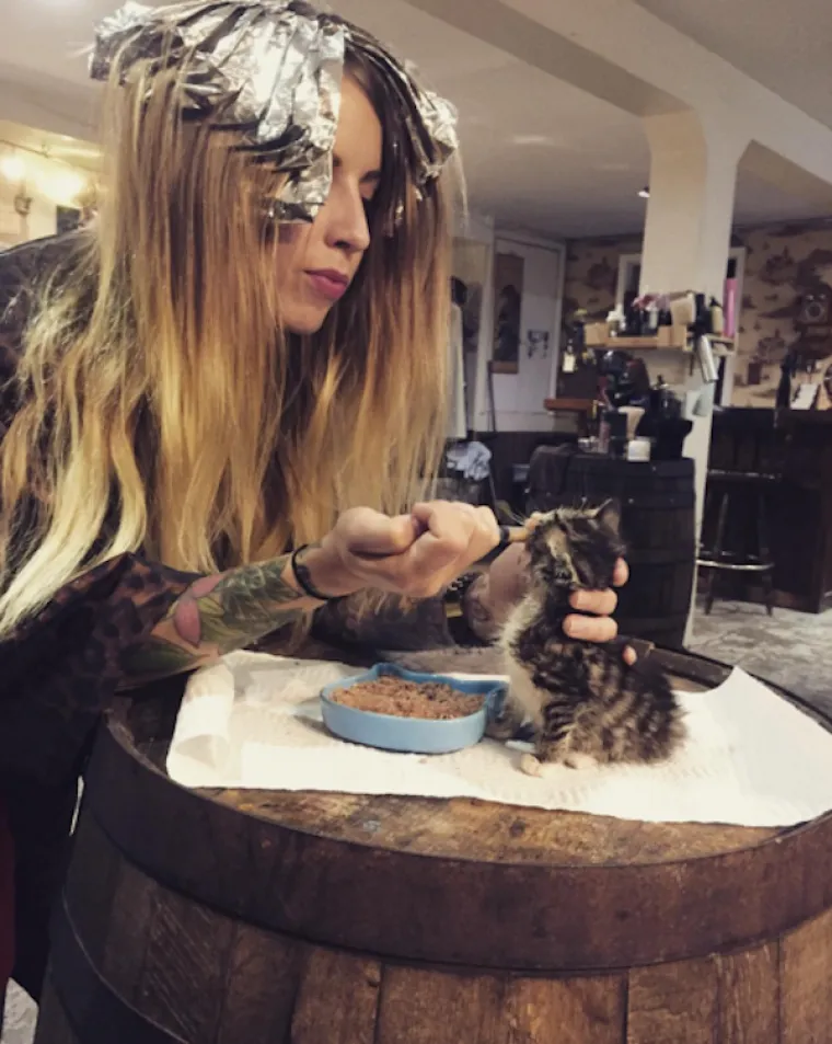 Život je posvetila njegovanju mačkica, pogledajte njezinu impresivnu kolekciju