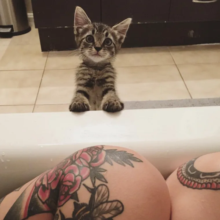 Život je posvetila njegovanju mačkica, pogledajte njezinu impresivnu kolekciju