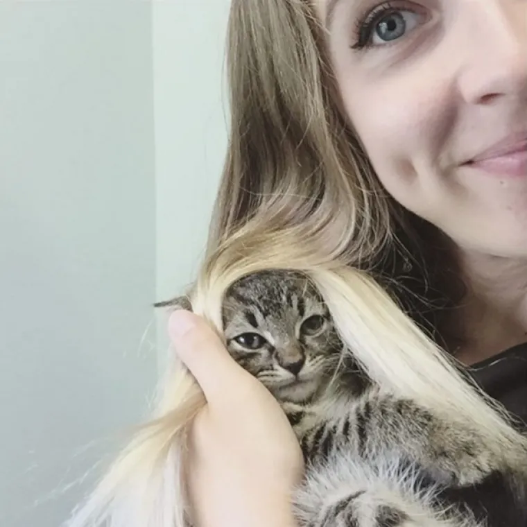 Život je posvetila njegovanju mačkica, pogledajte njezinu impresivnu kolekciju