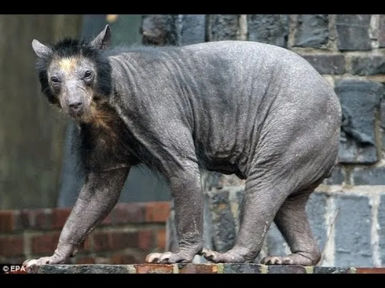 KOJI VRAG SE TU DOGAĐA? Vjerovali ili ne, prizori su snimljeni na Zemlji