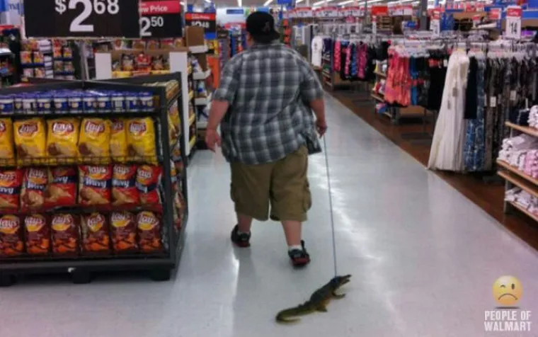 Kažu da je Walmart kontejner za ljude, a iz ovih je slika jasno što pod time misle